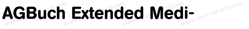AGBuch Extended Medi字体转换